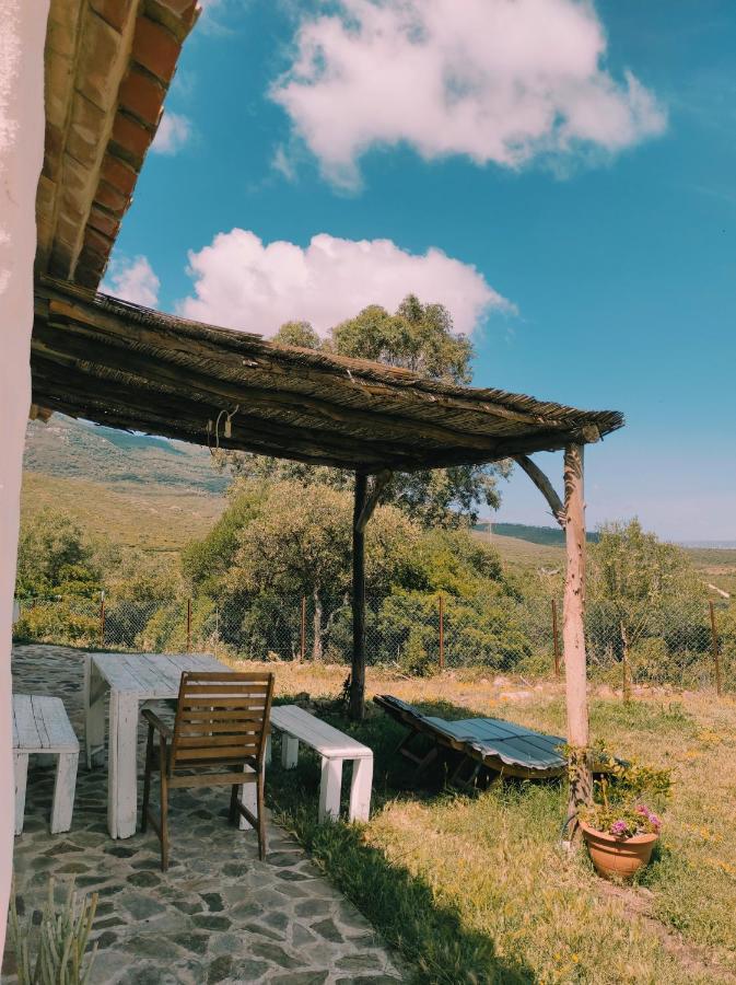 Vila Complejo Rural Del Molino Dorado Facinas Exteriér fotografie